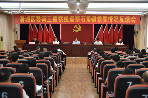 清城区委第三巡察组向石角镇党委反馈巡察情况