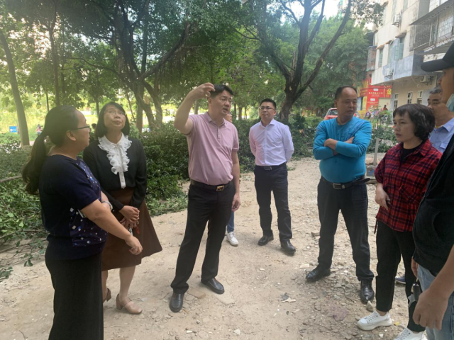 林伟新:以高度的责任心做好街重点工程建设,确保群众真正得到实惠