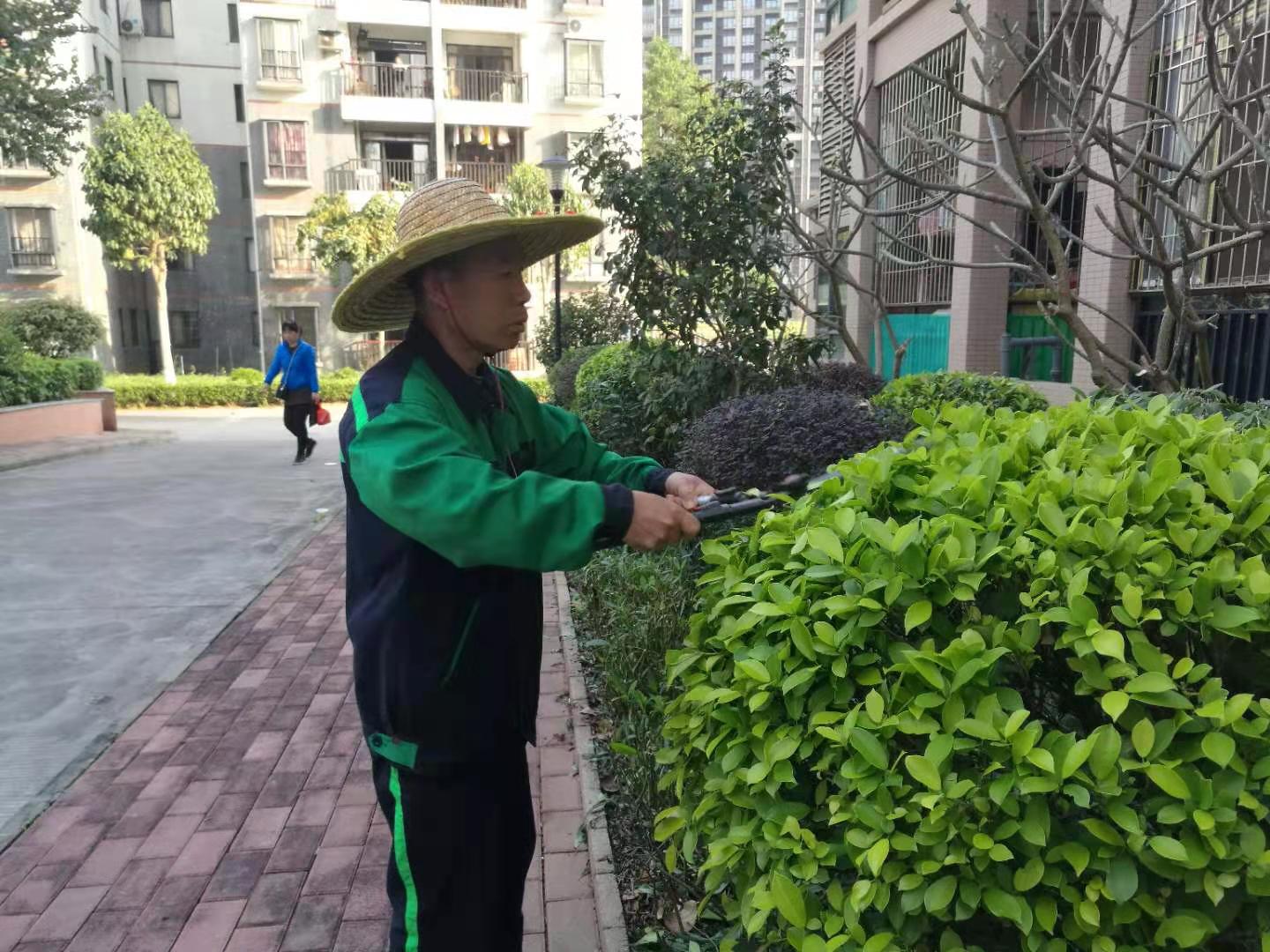 北京：怀柔“五边”增绿靓乡村_中国建筑绿化网