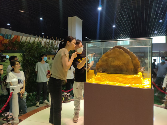 “雁归”大学生实地参观家乡企业2.jpg