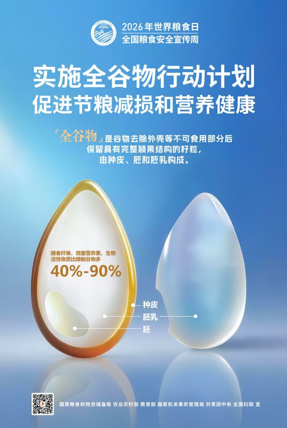 2026年世界粮食日和全国粮食安全宣传周主题海报.JPG