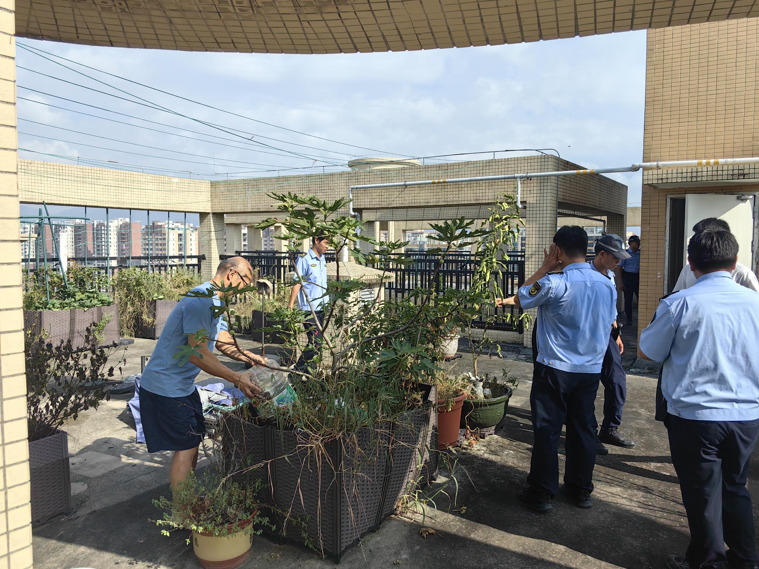 执法人员联合社区到住宅楼顶开展环境卫生检查1.jpg