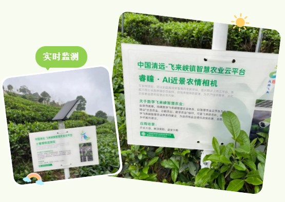 政务微信截图_16817840863545.png